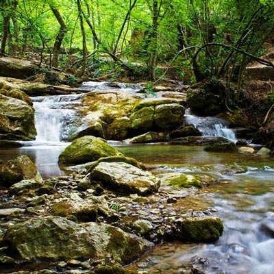 Nature-beauty 1
